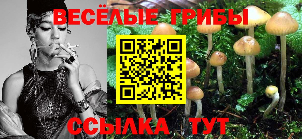 Галлюциногенные грибы ЛСД Новодвинск